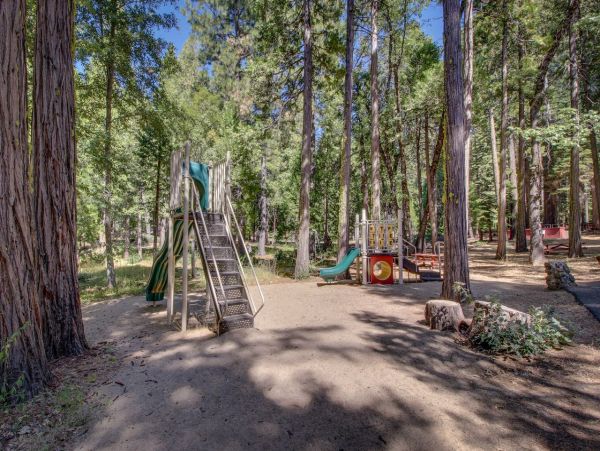 Yosemite Area Home 984839