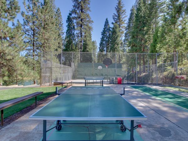 Yosemite Area Home 984840