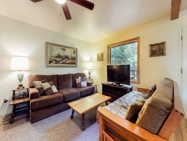 Yosemite Area Home 984841