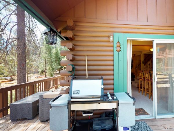 Yosemite Area Home 984842