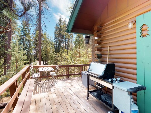 Yosemite Area Home 984842
