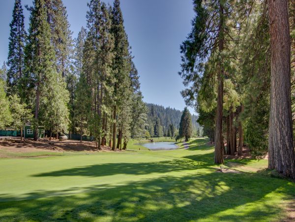 Yosemite Area Home 984844