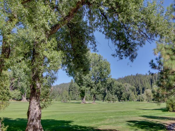 Yosemite Area Home 984844