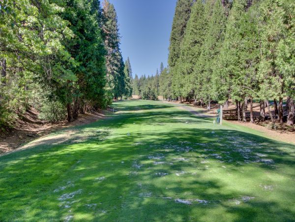Yosemite Area Home 984844