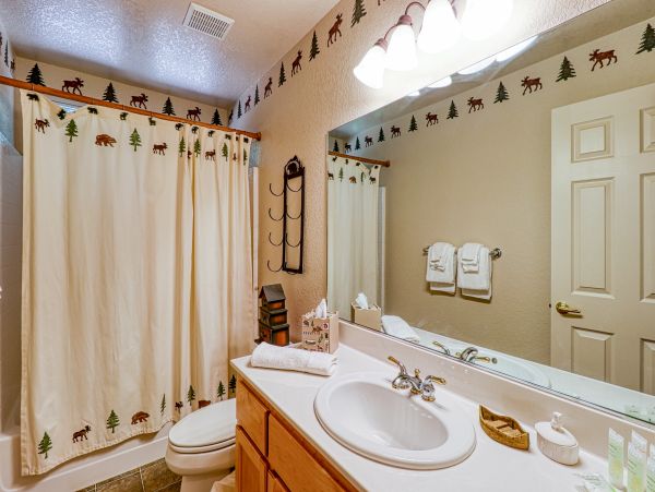 Yosemite Area Home 984845