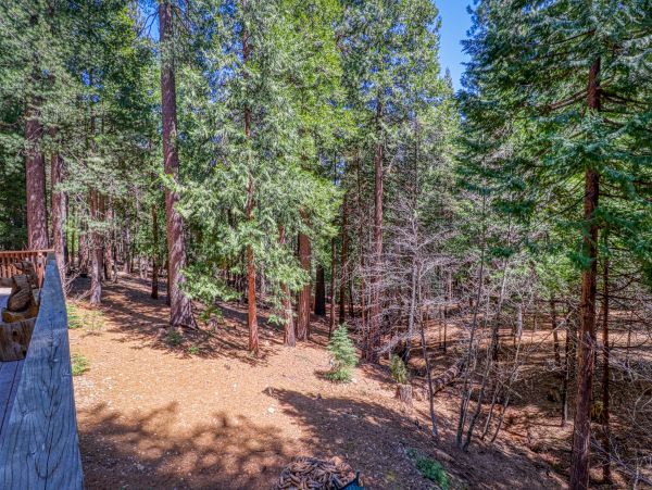 Yosemite Area Home 984845