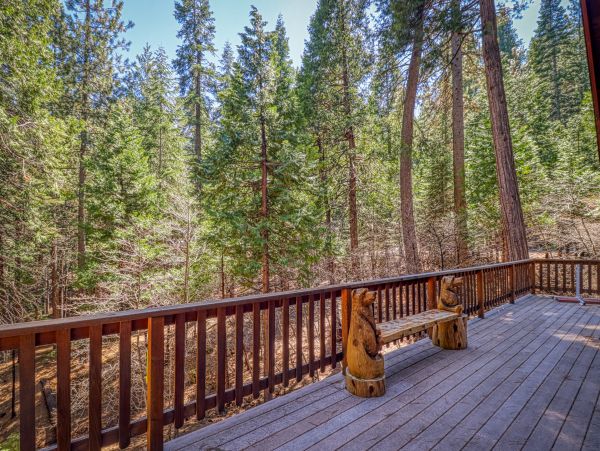 Yosemite Area Home 984845