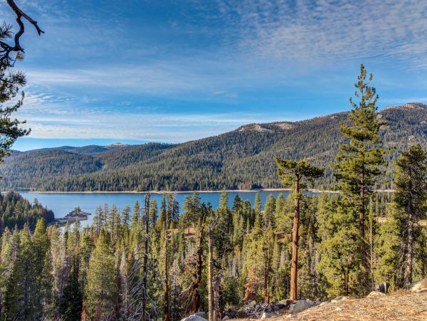 Yosemite Area Home 984846
