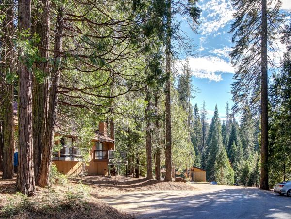 Yosemite Area Home 984846