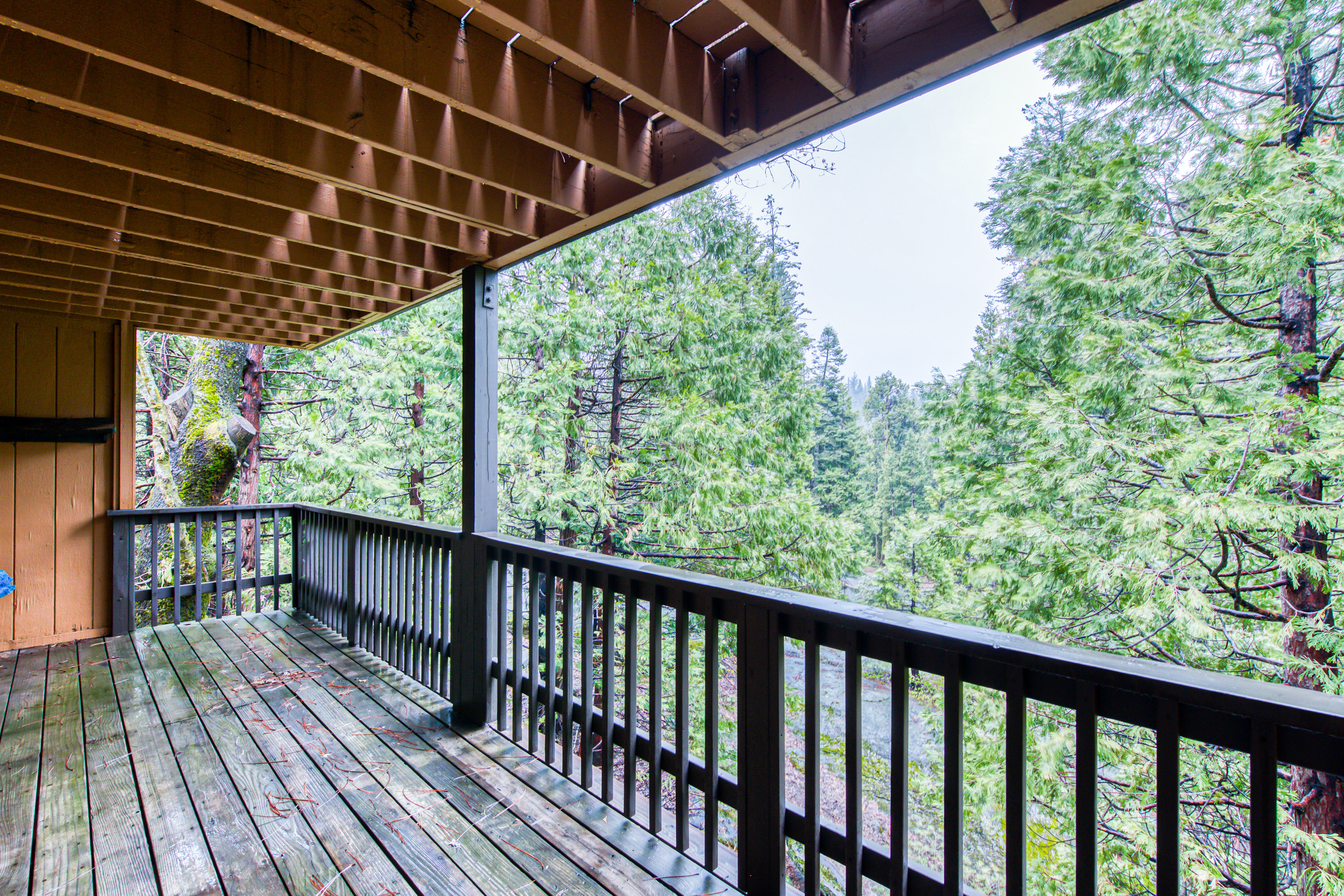 Yosemite Area Home 984848