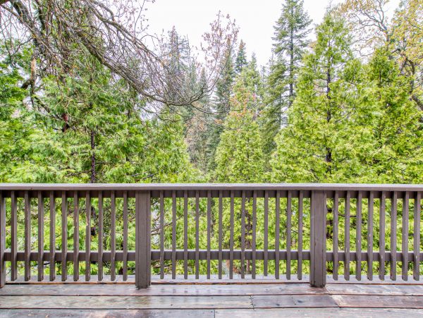 Yosemite Area Home 984848