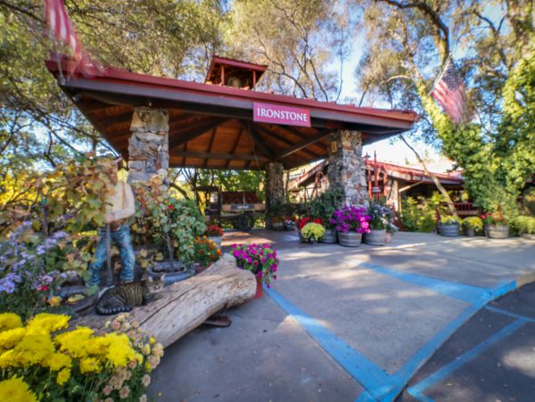 Yosemite Area Home 984849