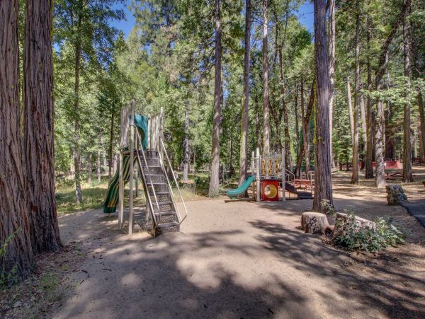 Yosemite Area Home 984850