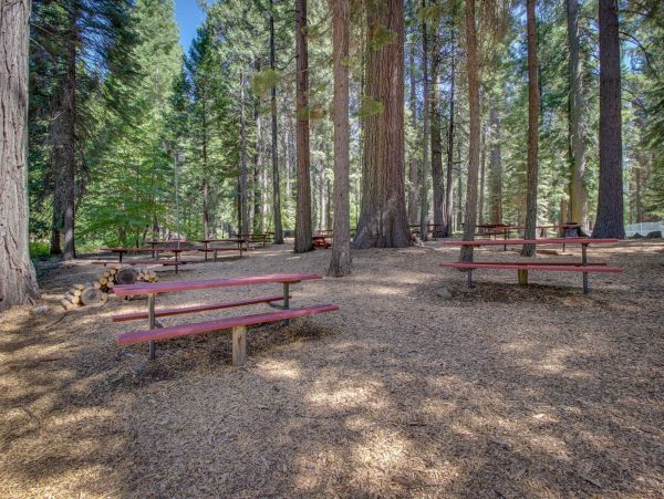 Yosemite Area Home 984850