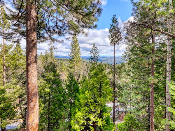 Yosemite Area Home 984850