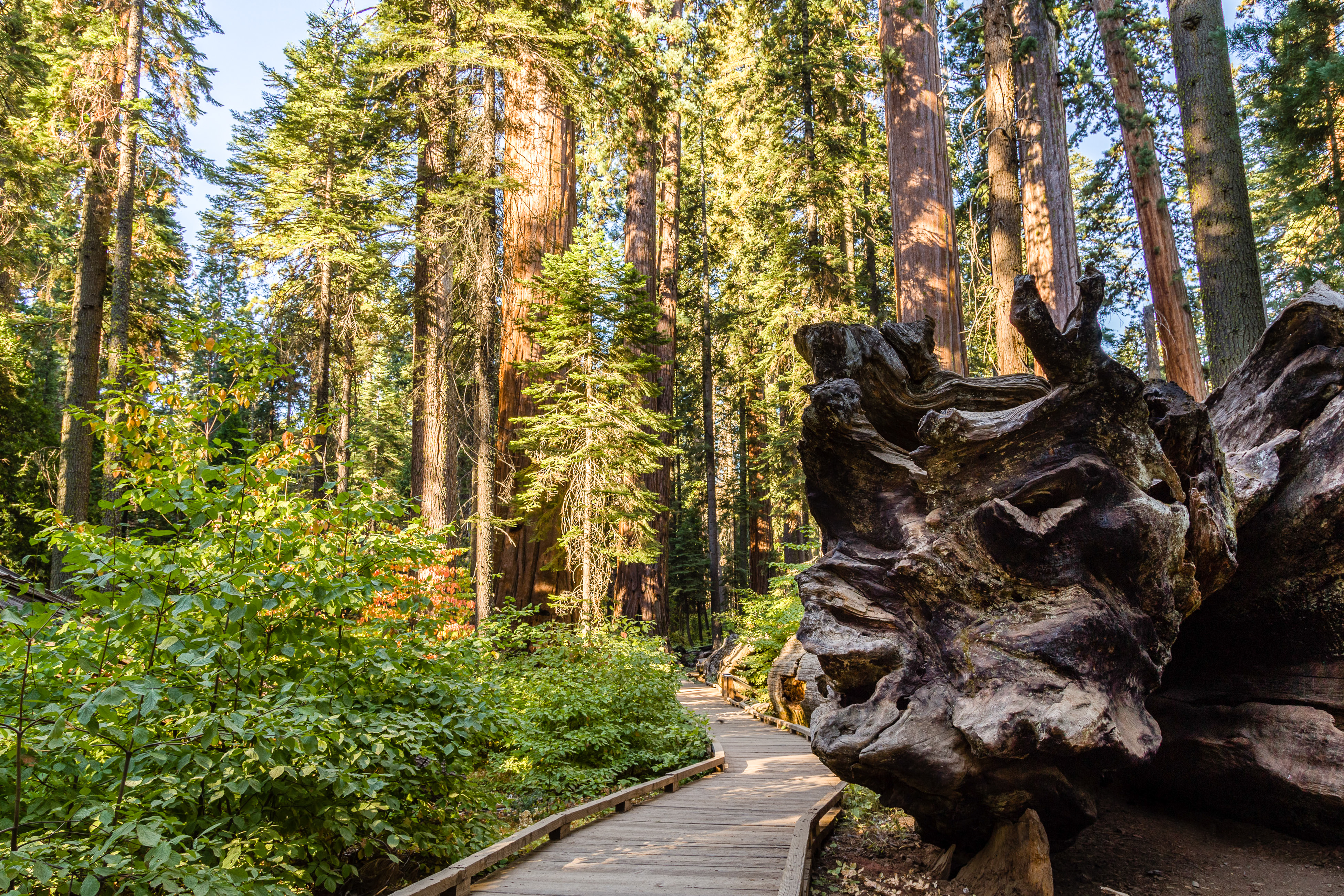 Yosemite Area Home 984850