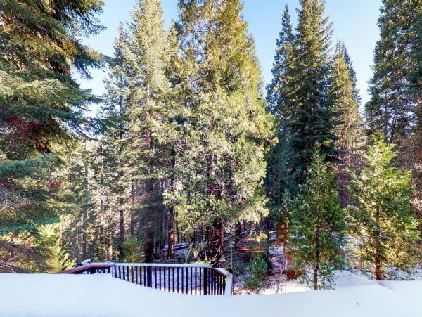 Yosemite Area Home 984851