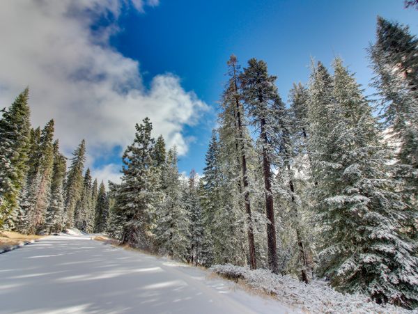 Yosemite Area Home 984851