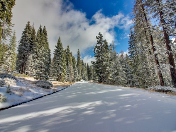 Yosemite Area Home 984851