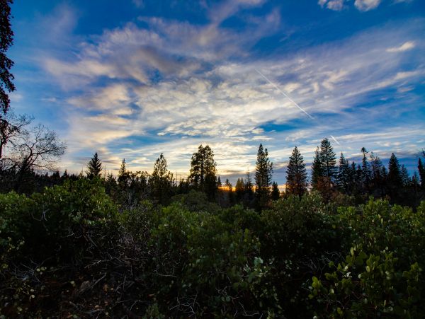 Yosemite Area Home 984851