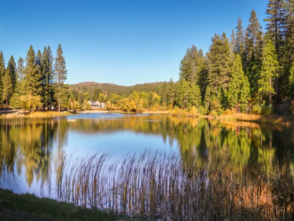 Yosemite Area Home 984852