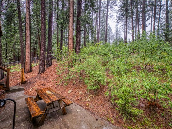 Yosemite Area Home 984852