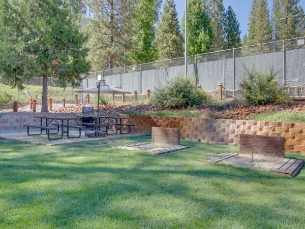 Yosemite Area Home 984854