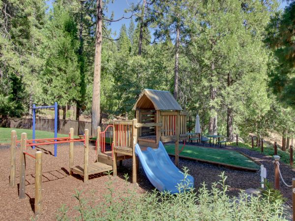 Yosemite Area Home 984854
