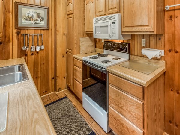 Yosemite Area Home 984855