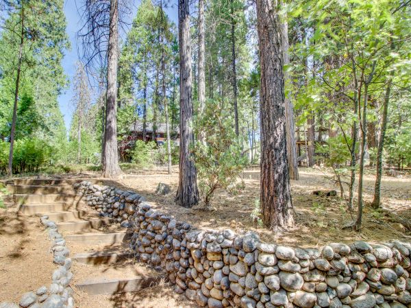Yosemite Area Home 984858
