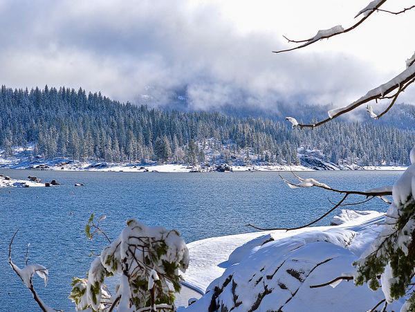 Yosemite Area Home 984861