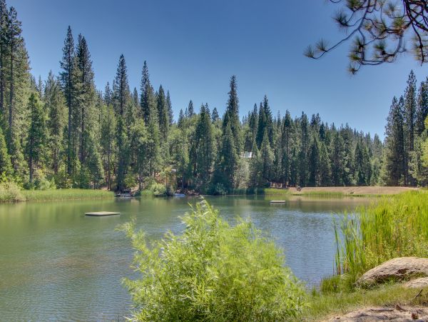 Yosemite Area Home 984862
