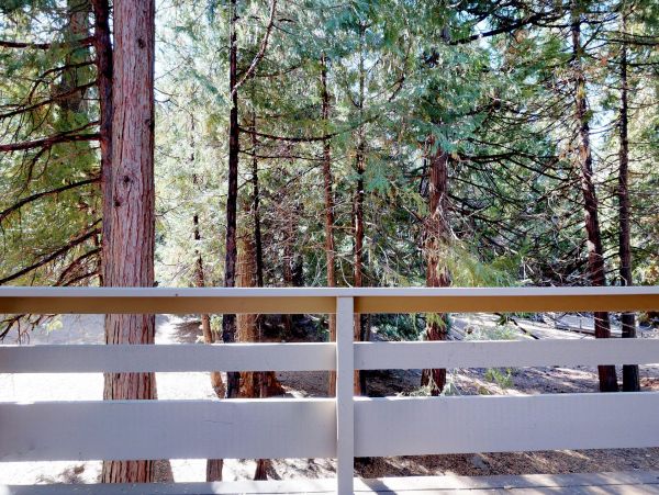 Yosemite Area Home 984863