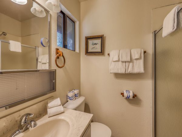 Yosemite Area Home 984865
