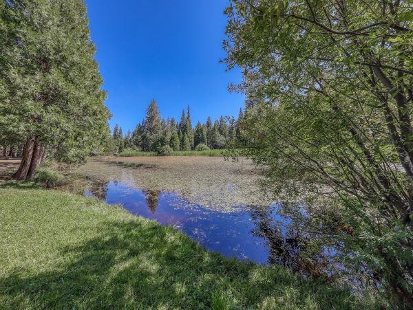 Yosemite Area Home 984865