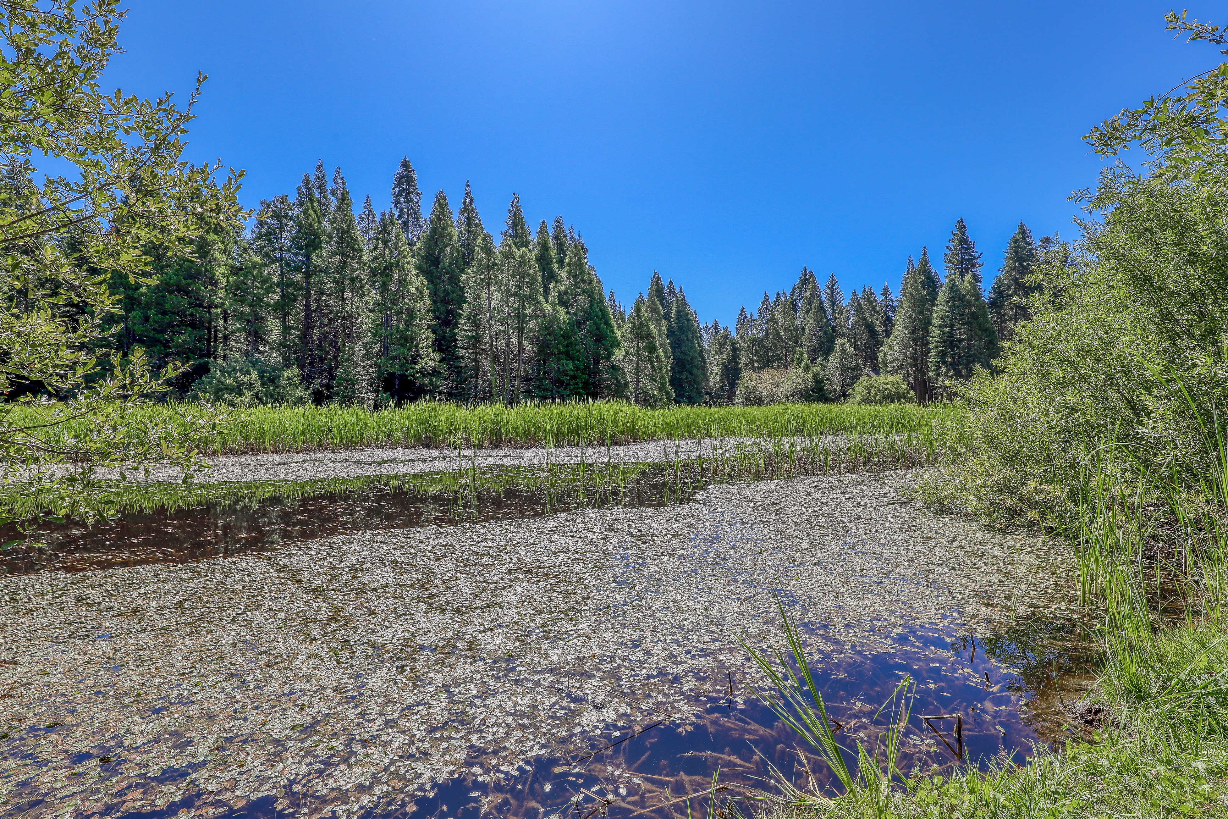Yosemite Area Home 984865