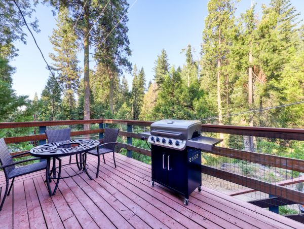 Yosemite Area Home 984866