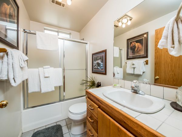 Yosemite Area Home 984867
