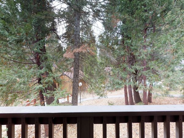 Yosemite Area Home 984869