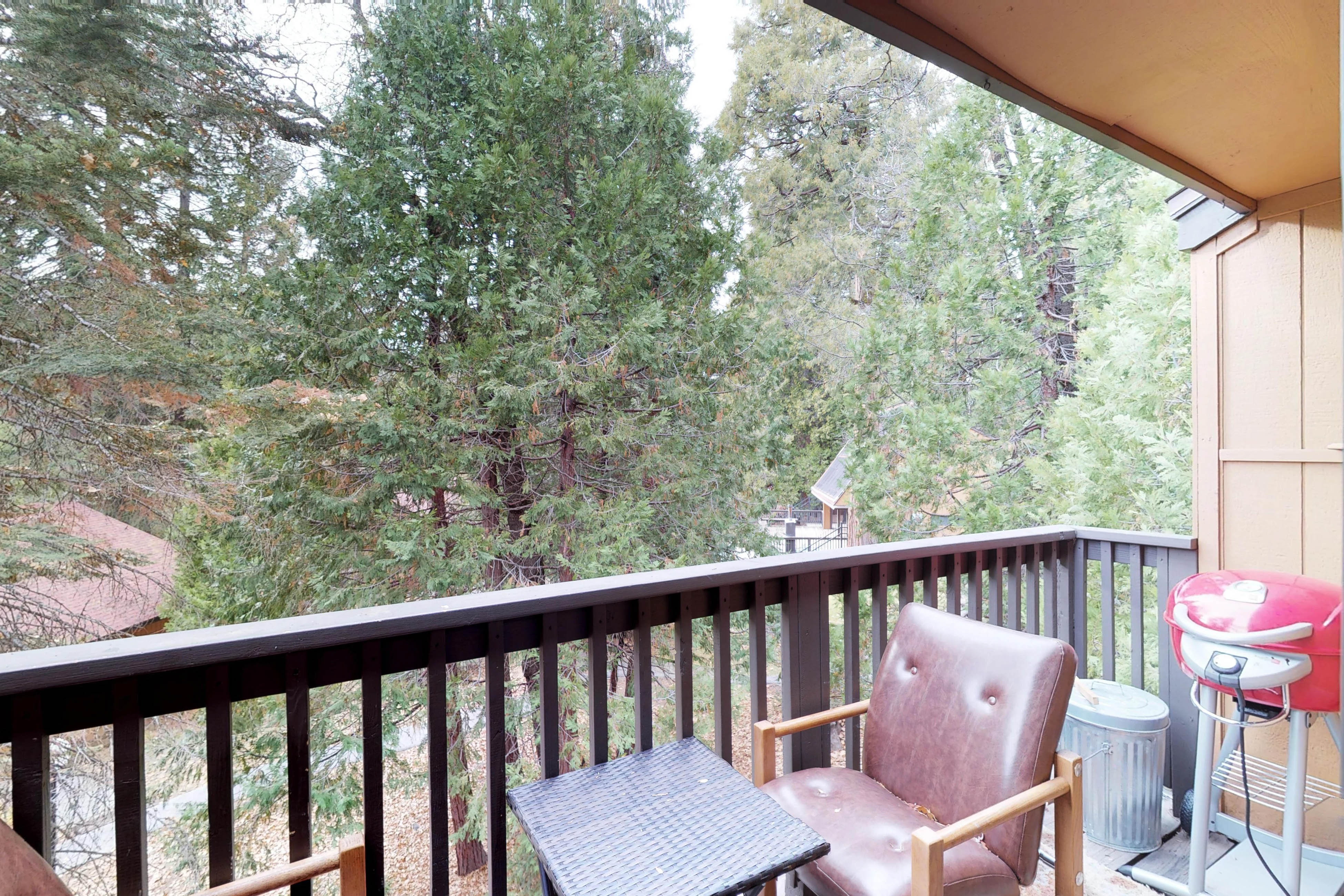 Yosemite Area Home 984869