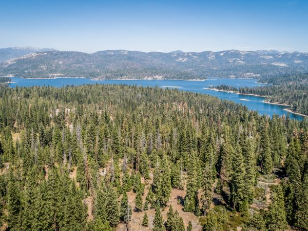 Yosemite Area Home 984871