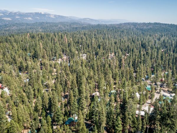 Yosemite Area Home 984871