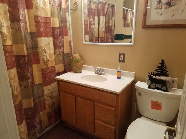 Yosemite Area Home 984872