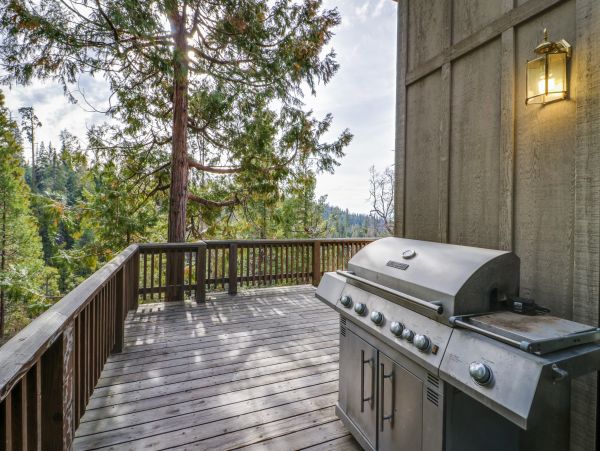 Yosemite Area Home 984873
