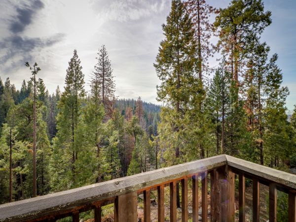Yosemite Area Home 984873