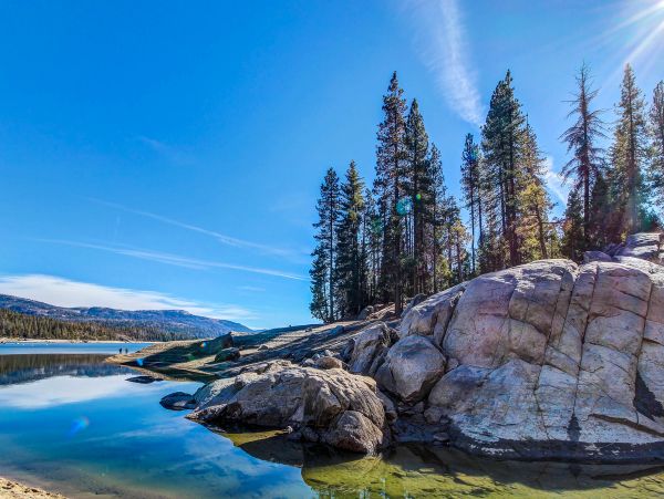 Yosemite Area Home 984875