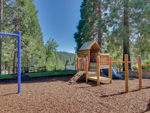 Yosemite Area Home 984881