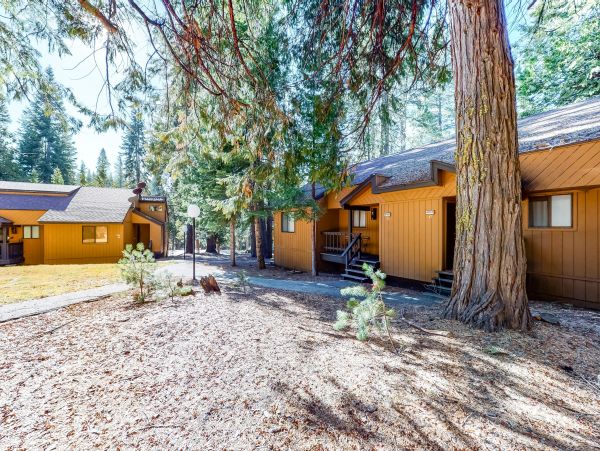 Yosemite Area Home 984883