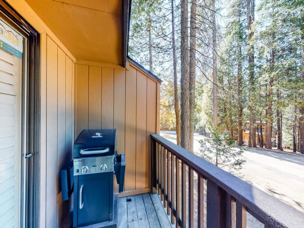 Yosemite Area Home 984883