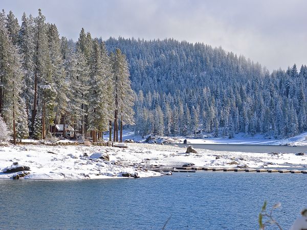Yosemite Area Home 984883